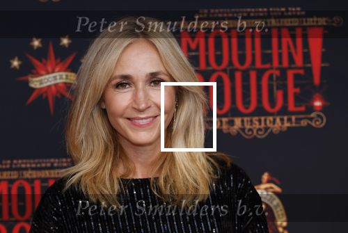 Utrecht 19 september 2024
Premiere Moulin Rouge in het Beatrix theater. Wendy v Dijk met een vriendin