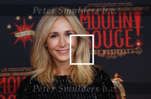 Utrecht 19 september 2024
Premiere Moulin Rouge in het Beatrix theater. Wendy v Dijk met een vriendin