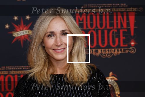 Utrecht 19 september 2024
Premiere Moulin Rouge in het Beatrix theater. Wendy v Dijk met een vriendin