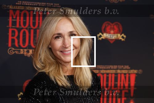 Utrecht 19 september 2024
Premiere Moulin Rouge in het Beatrix theater. Wendy v Dijk met een vriendin