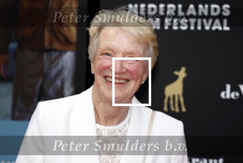 Utrecht 20 september 2024
Premiere Witte Flits tijdens de openings avond van de Filmdagen in Utrecht .