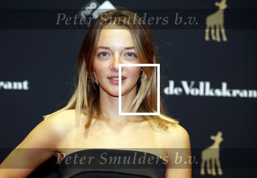 Utrecht 20 september 2024
Premiere Witte Flits tijdens de openings avond van de Filmdagen in Utrecht .
