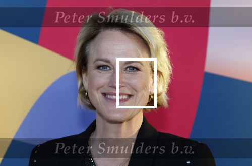 Hilversum 9 september 2025
NPO najaarspresentatie bij beeld en geluid . 
Afke v Boven