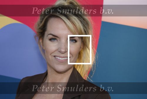 Hilversum 9 september 2025
NPO najaarspresentatie bij beeld en geluid . Anne-Mar Zwart
