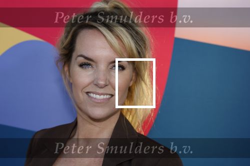 Hilversum 9 september 2025
NPO najaarspresentatie bij beeld en geluid . Anne-Mar Zwart