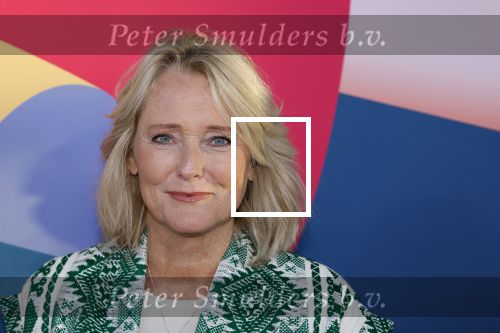 Hilversum 9 september 2025
NPO najaarspresentatie bij beeld en geluid . Antoinette Hertsenberg