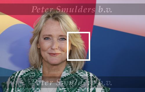 Hilversum 9 september 2025
NPO najaarspresentatie bij beeld en geluid . Antoinette Hertsenberg