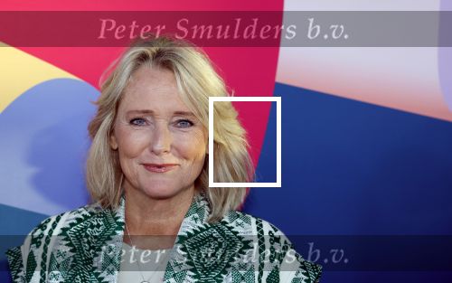 Hilversum 9 september 2025
NPO najaarspresentatie bij beeld en geluid . Antoinette Hertsenberg