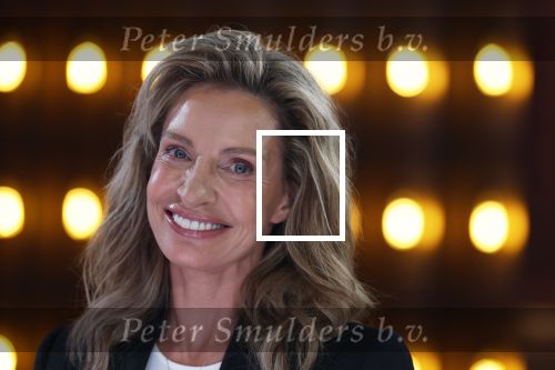 Hilversum 31 augustus 2025
Astrid Holleeder bij RTL Tonight .