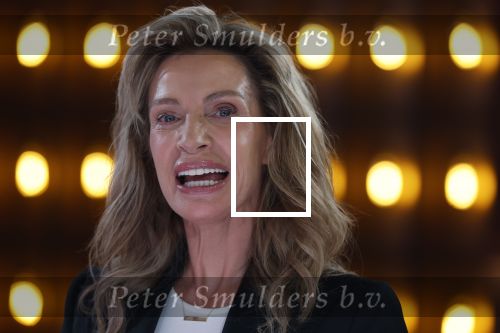 Hilversum 31 augustus 2025
Astrid Holleeder bij RTL Tonight .