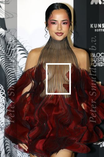 Rotterdam 27 september 2025
Opening show Iris v Herpen in de kunsthal in Rotterdam. Becky G