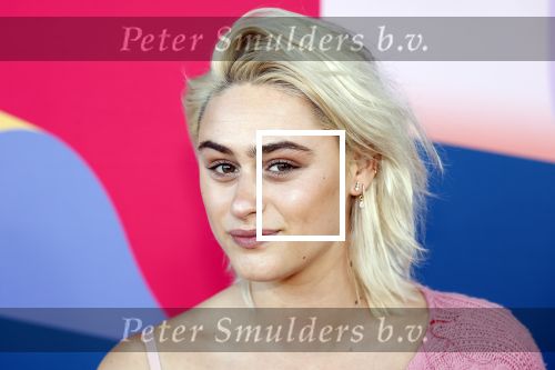 Hilversum 9 september 2025
NPO najaarspresentatie bij beeld en geluid . Bente Fokkens