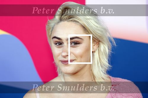 Hilversum 9 september 2025
NPO najaarspresentatie bij beeld en geluid . Bente Fokkens