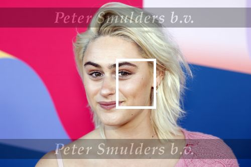 Hilversum 9 september 2025
NPO najaarspresentatie bij beeld en geluid . Bente Fokkens