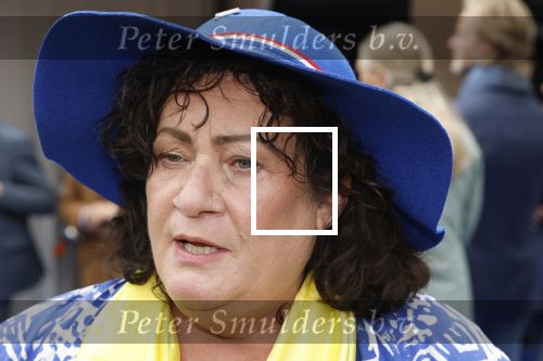 Den Haag 16 september 2025
Prinsjesdag 2025 in Den Haag . caroline v d Plas