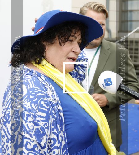 Den Haag 16 september 2025
Prinsjesdag 2025 in Den Haag . caroline v d Plas