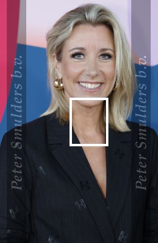 Hilversum 9 september 2025
NPO najaarspresentatie bij beeld en geluid . Carrie ten Napel