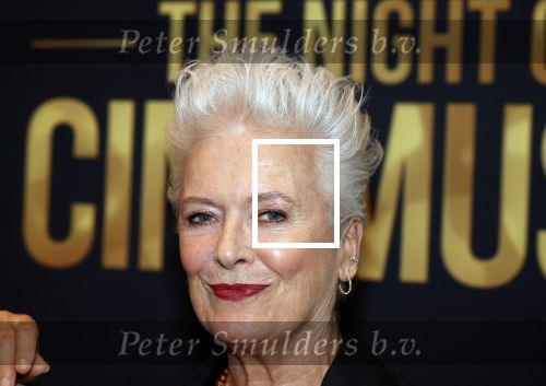 Amsterdam 12 september 2025
Uitreiking Cinemusic Rembrandt Oeuvre Award - tijdens The Night Of Cinemusic in het Concertgebouw. Jeroen Krabbe krijgt Ouvre prijs uit handen van Rene Mioch .  Doris Baaten en partner