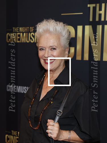 Amsterdam 12 september 2025
Uitreiking Cinemusic Rembrandt Oeuvre Award - tijdens The Night Of Cinemusic in het Concertgebouw. Jeroen Krabbe krijgt Ouvre prijs uit handen van Rene Mioch .  Doris Baaten en partner