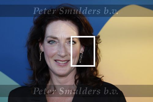 Hilversum 9 september 2025
NPO najaarspresentatie bij beeld en geluid . Ghislaine Plag
