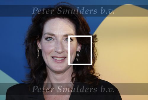 Hilversum 9 september 2025
NPO najaarspresentatie bij beeld en geluid . Ghislaine Plag