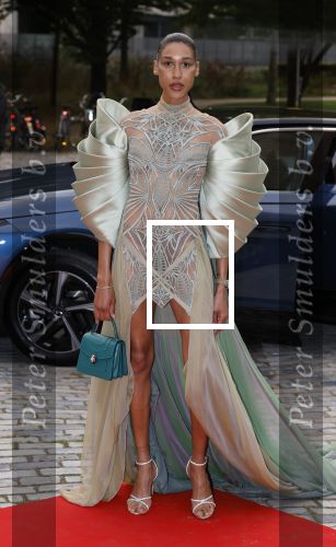 Rotterdam 27 september 2025
Opening show Iris v Herpen in de kunsthal in Rotterdam. Gia Bab
