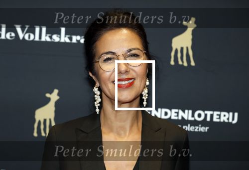 Utrecht 26 september 2025
Premiere voor de meisjes tijdens openingsavond Filmdagen Utrecht 2025 in de stadsschouwburg . Gunay Uslu