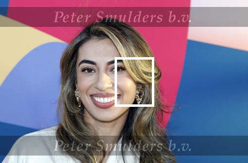 Hilversum 9 september 2025
NPO najaarspresentatie bij beeld en geluid . Hila Noorzai