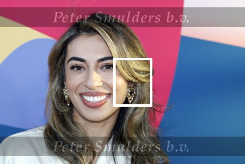 Hilversum 9 september 2025
NPO najaarspresentatie bij beeld en geluid . Hila Noorzai