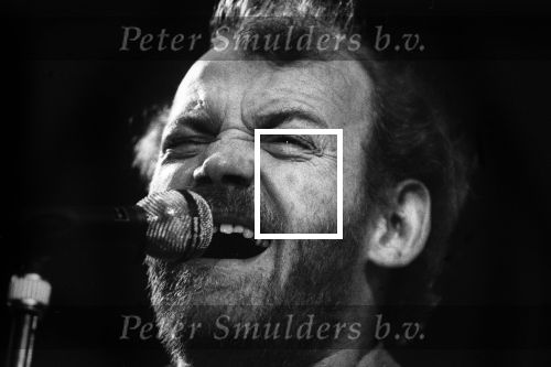 Eindhoven 1982 Joe Cocker optreden in het POC (Philips Ontspannings Centrum