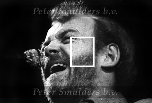 Eindhoven 1982 Joe Cocker optreden in het POC (Philips Ontspannings Centrum