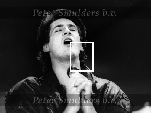 Eindhoven 1982 Joe Cocker optreden in het POC (Philips Ontspannings Centrum