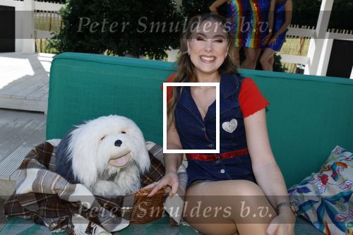 Kaatsheuvel 8 september 2025
Persevent van de Gi-Ga Gantische Kerstshow in de efteling met oa Rene Froger Gert Verhulst Kabouter Plop K3 en Marie Verhulst .