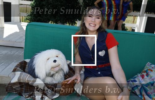 Kaatsheuvel 8 september 2025
Persevent van de Gi-Ga Gantische Kerstshow in de efteling met oa Rene Froger Gert Verhulst Kabouter Plop K3 en Marie Verhulst .