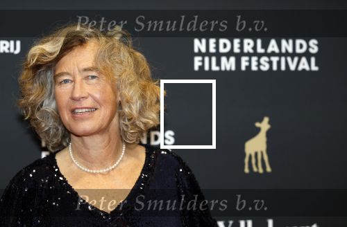 Utrecht 26 september 2025
Premiere voor de meisjes tijdens openingsavond Filmdagen Utrecht 2025 in de stadsschouwburg . Marjolijn Bronkhuyzen