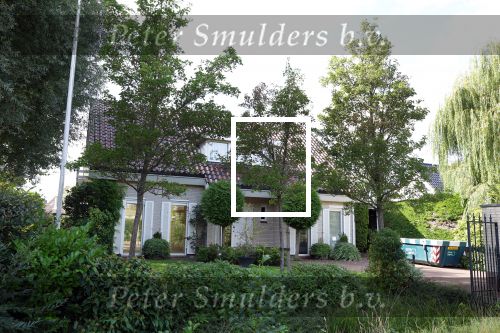 Rijnsburg 4 september 2025
Nieuwe huis van Mart Hoogkamer en zijn vriendin Jennifer v Ooijen . Ze gaan het huis helemaal verbouwen .