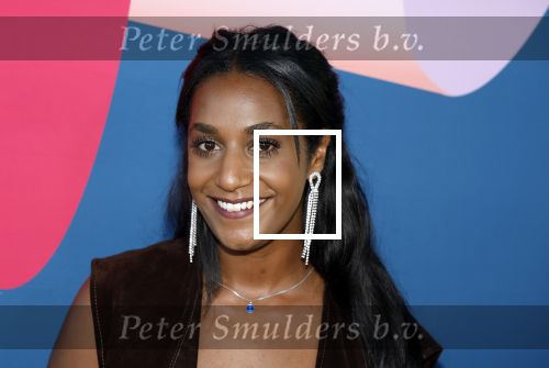 Hilversum 9 september 2025
NPO najaarspresentatie bij beeld en geluid . Menen Seijkens
