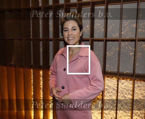 Amsterdam 26 september 2025
Boekpresentatie Simone v d Ende in restaurant Rijks . Chantal Janzen ontvangt het eerste boek . Mirella v Markus kwam met haar partner