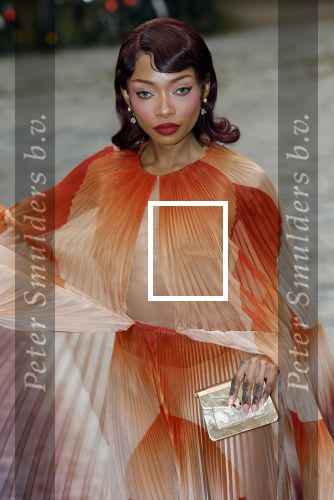 Rotterdam 27 september 2025
Opening show Iris v Herpen in de kunsthal in Rotterdam. Nyane