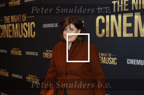 Amsterdam 12 september 2025
Uitreiking Cinemusic Rembrandt Oeuvre Award - tijdens The Night Of Cinemusic in het Concertgebouw. Jeroen Krabbe krijgt Ouvre prijs uit handen van Rene Mioch . Olga Zuiderhoek