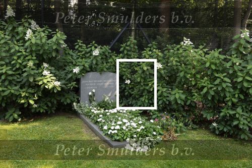 Lage Vuursche 14 augustus 2025
Prins Friso ligt begraven op de begraafplaats de Lage vuursche naast Kasteel Drakesteyn waar prinses Beatrix woont.
