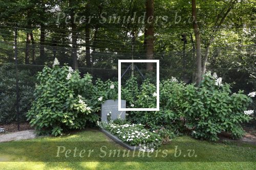 Lage Vuursche 14 augustus 2025
Prins Friso ligt begraven op de begraafplaats de Lage vuursche naast Kasteel Drakesteyn waar prinses Beatrix woont.