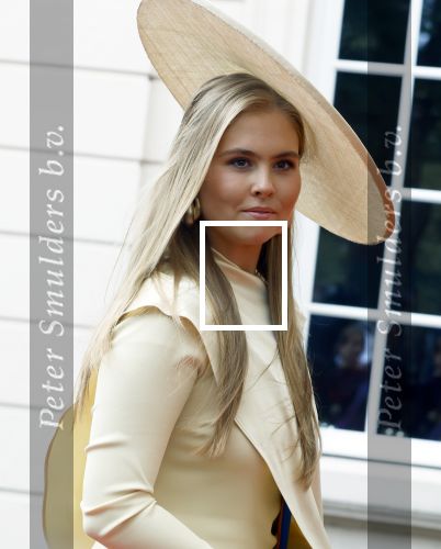 Den Haag 16 september 2025
Prinsjesdag 2025 met aanwezig namens de koninklijke familie , Koning Willem Alexander Koningin Maxima Prinses Amalia Prinses Alexia Prinses Ariane Prins Constantijn en Prinses Laurentien .