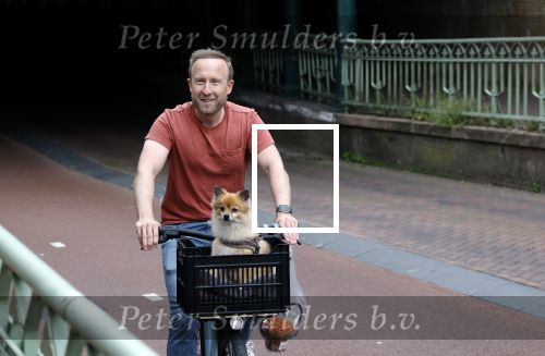 Haarlem 31 augustus 2025
Raymond Mens met hondje op de fiets in het centrum van Haarlem .