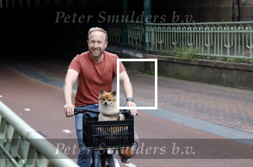 Haarlem 31 augustus 2025
Raymond Mens met hondje op de fiets in het centrum van Haarlem .