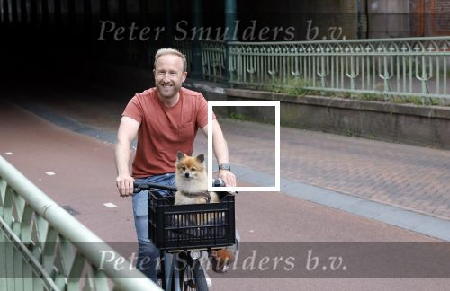 Haarlem 31 augustus 2025
Raymond Mens met hondje op de fiets in het centrum van Haarlem .