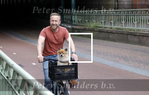 Haarlem 31 augustus 2025
Raymond Mens met hondje op de fiets in het centrum van Haarlem .