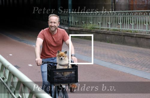Haarlem 31 augustus 2025
Raymond Mens met hondje op de fiets in het centrum van Haarlem .