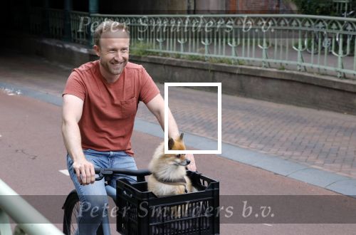 Haarlem 31 augustus 2025
Raymond Mens met hondje op de fiets in het centrum van Haarlem .