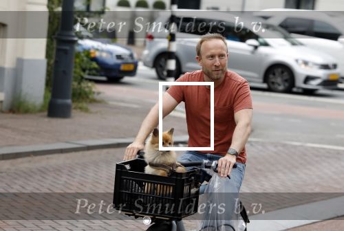 Haarlem 31 augustus 2025
Raymond Mens met hondje op de fiets in het centrum van Haarlem .